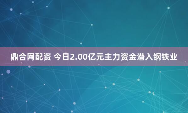 鼎合网配资 今日2.00亿元主力资金潜入钢铁业