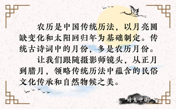 巨龙配资 诗意中国丨农历六月