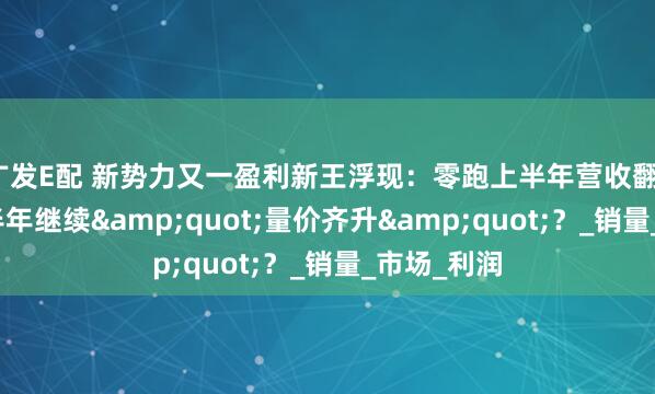 广发E配 新势力又一盈利新王浮现：零跑上半年营收翻1.7倍，下半年继续&quot;量价齐升&quot;？_销量_市场_利润