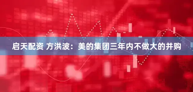 启天配资 方洪波：美的集团三年内不做大的并购