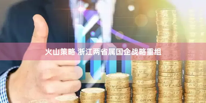 火山策略 浙江两省属国企战略重组